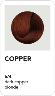 BHAVE360 (6-4) Copper - Dark Copper Blonde 100ml