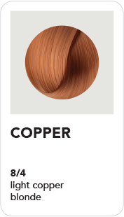 BHAVE360 (8-4) Copper - Light Copper Blonde 100ml
