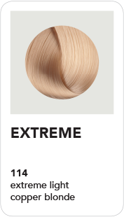 BHAVE360 (114) Extreme - Light Copper Blonde 100ml