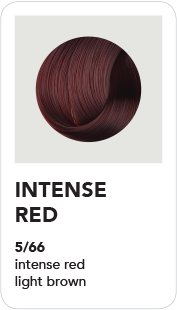 BHAVE360 (5-66) Intense Red - Intense Red Light Brown 100ml