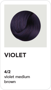 BHAVE360 (4-2) Violet - Medium Brown 100ml