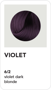 BHAVE360 (6-2) Violet - Dark Blonde 100ml